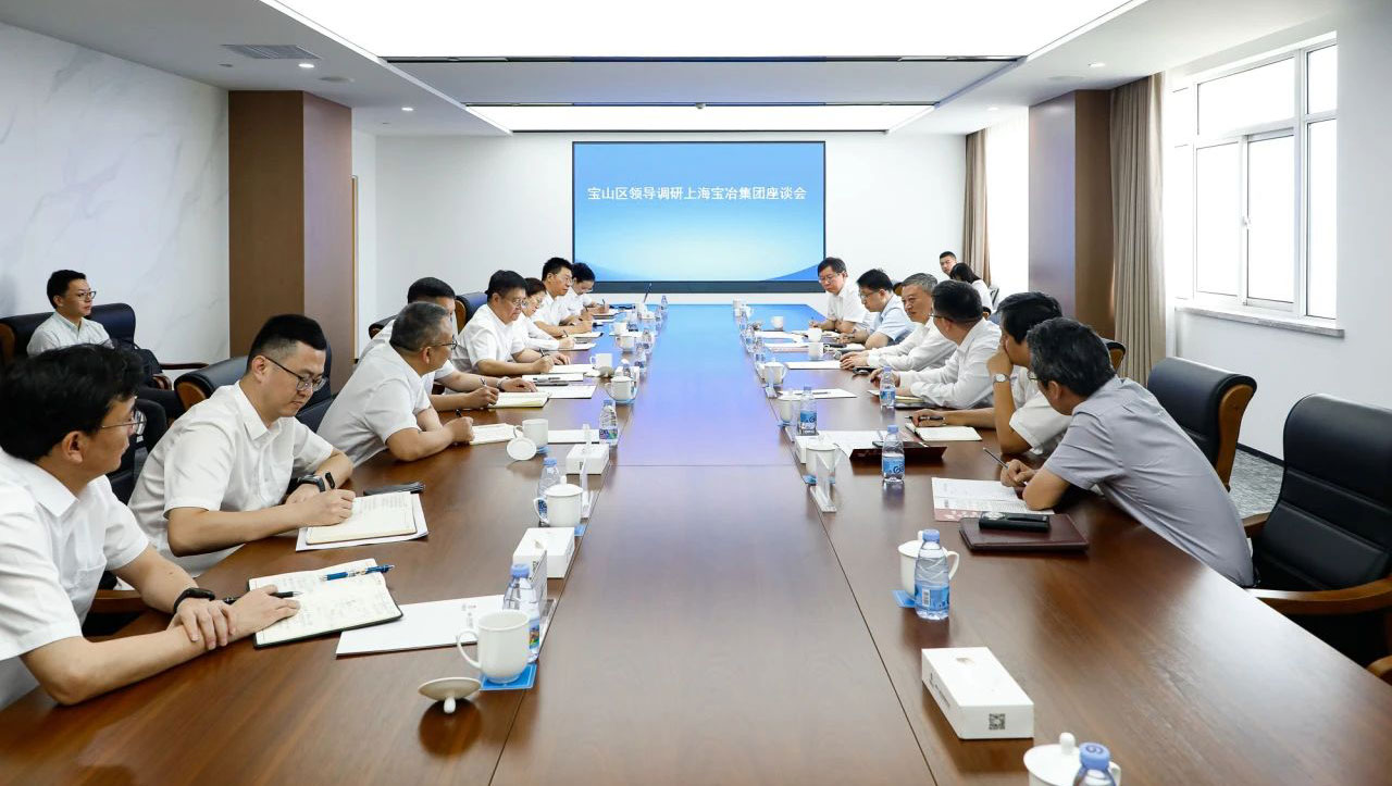 宝山区委书记李晨昊一行调研上海鉴黑担保网