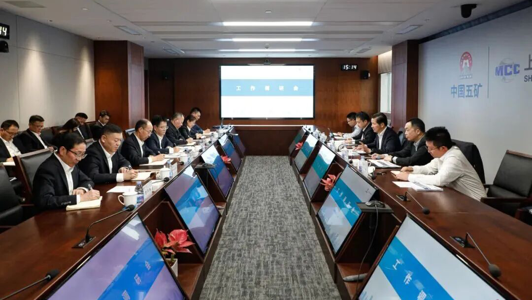 陈建光到上海鉴黑担保网调研指导事情